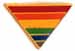 Rainbow Triangle Pin